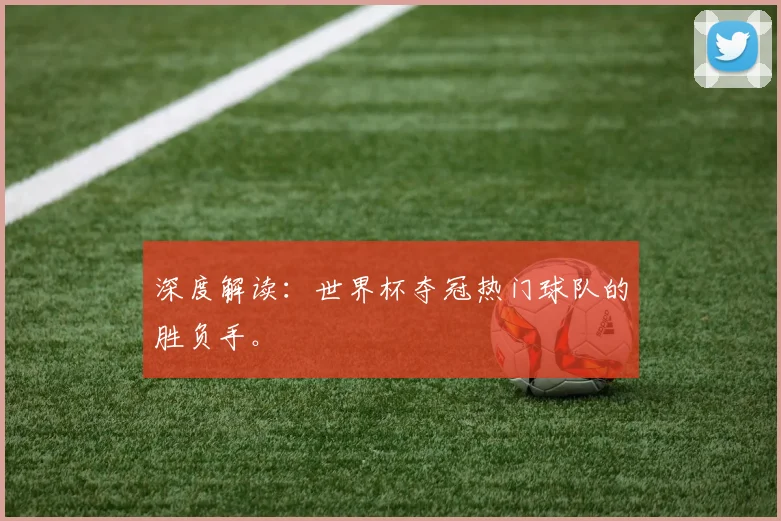 深度解读:世界杯夺冠热门球队的胜负手。